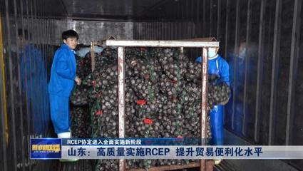 RCEP協定進入全面實施新階段——山東高質量實施RCEP提升貿易便利化水平，推動貨物進出口發展