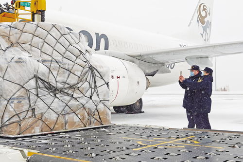 貨物進(jìn)出口助推煙臺(tái)經(jīng)濟(jì)發(fā)展——煙臺(tái)日?qǐng)?bào)電子報(bào)刊觀察