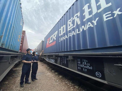 國(guó)際海關(guān)日 守護(hù)國(guó)門，全力以赴保障供應(yīng)鏈穩(wěn)定高效