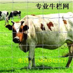 批發(fā)零售1.4米鍍鋅鐵絲網(wǎng) 堅(jiān)固耐用牛欄網(wǎng)，助力散養(yǎng)家禽牲畜，廠家直銷省心省力
